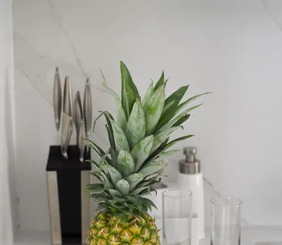 Villa Luxury Aleana *